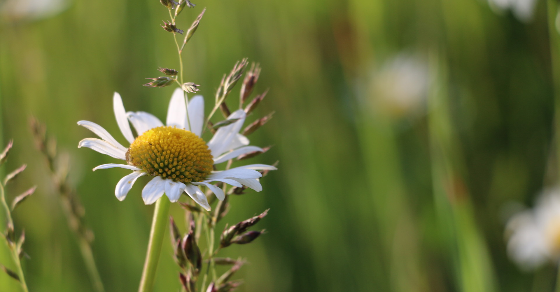 Herzlich willkommen bei der Rund um Gartenbau